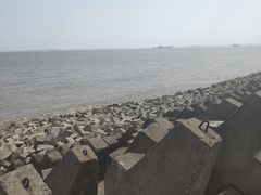 -上海滨江森林公园