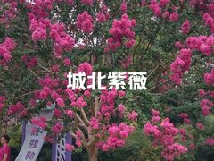 -杭州城北体育公园