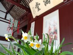 -上海醉白池公园