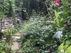 -斯多格书乡(北京大学畅春园店)