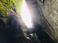 -武陵山森林公园