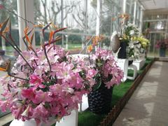 -上海鲜花港