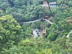 -南丹山森林王国