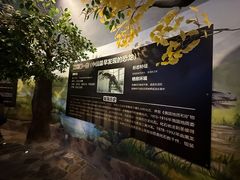 -嘉荫恐龙国家地质公园