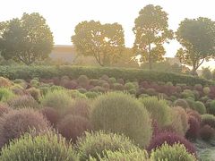 -春花秋色城市公园