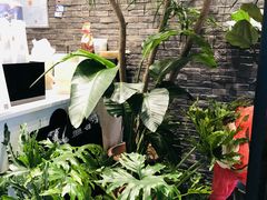 -茶理宜世(花城汇中区店)