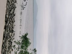 -深圳湾公园(南山区)