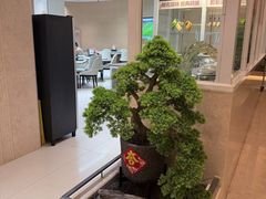 -新美姿美食水疗汇(罗湖口岸店)