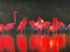 -罗红摄影艺术馆