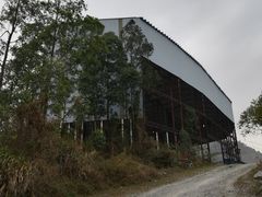 -黄埔油麻山森林公园