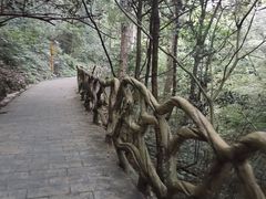 -江西阳明山国家森林公园