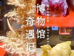 -广东省博物馆