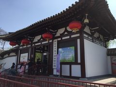 -西安青龙寺遗址景区