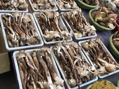 -爱膳菌锅锅(阳南店)