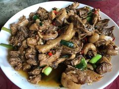 -生态苑农庄(十里画廊遇龙河店)