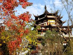 -太湖湖滨国家湿地公园-停车场
