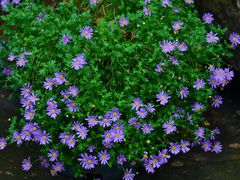 -杭州西湖风景名胜区-满觉陇四眼井