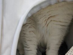 -拜鲁耶动物诊疗中心·宠家动物医院