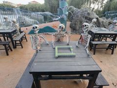 -青岛方特梦幻王国