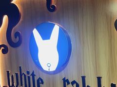 -白兔子密室(长寿路店)