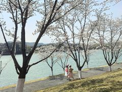 -羊山湖公园