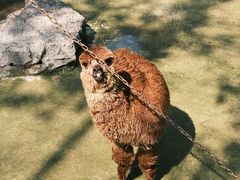 -庐山西海主景区