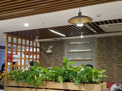 大堂-八合里潮汕鲜牛肉火锅(深圳海岸城店)