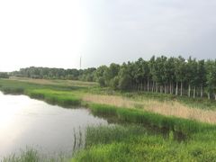 -哈尔滨大剧院