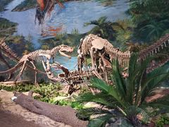 -自贡恐龙博物馆