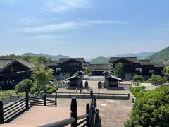 -大唐贡茶院