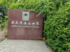 -亚龙湾海底世界