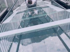 -梦幻奥陶纪景区