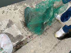 -特种渔场
