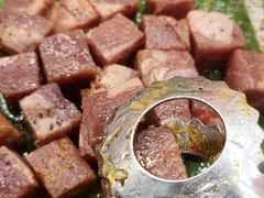 -蚝贝乐鲜蚝烤肉烤榴莲自助(金楠天街店)