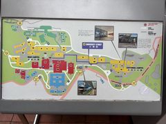 -香港大学