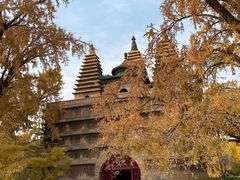 -北京石刻艺术博物馆(五塔寺)