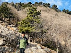 -阳台山自然风景区