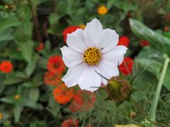 -共青国家森林公园-南大门停车场