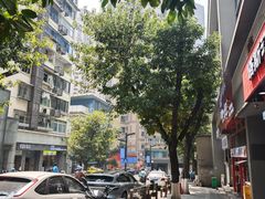 -金汤包(美专校街店)