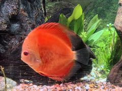 -上海海洋水族馆