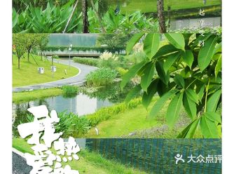 城市里的绿野仙踪丨人少景美可遛娃丨免费的快来