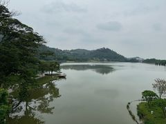 -顺峰山公园