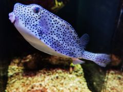 -波塞冬旅游度假区