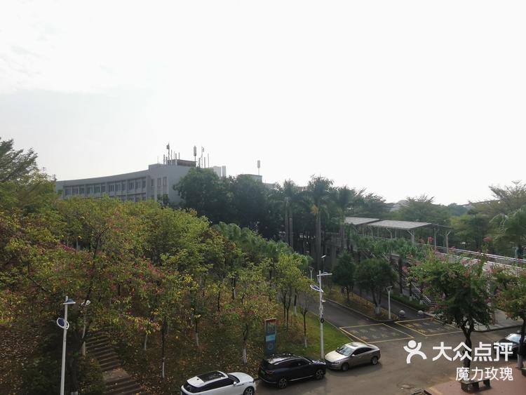 星海大学城校区图片