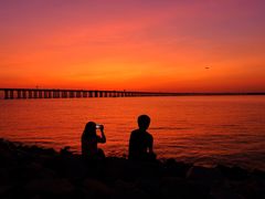 -宝安西湾红树林湿地公园