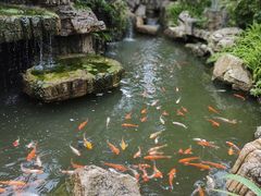 -宝光寺