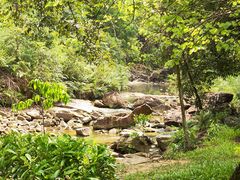 -广州白江湖森林公园