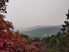 -北京西山国家森林公园