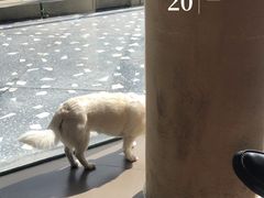 -星巴克(中远两湾城店)