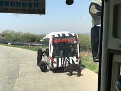 -西安秦岭野生动物园